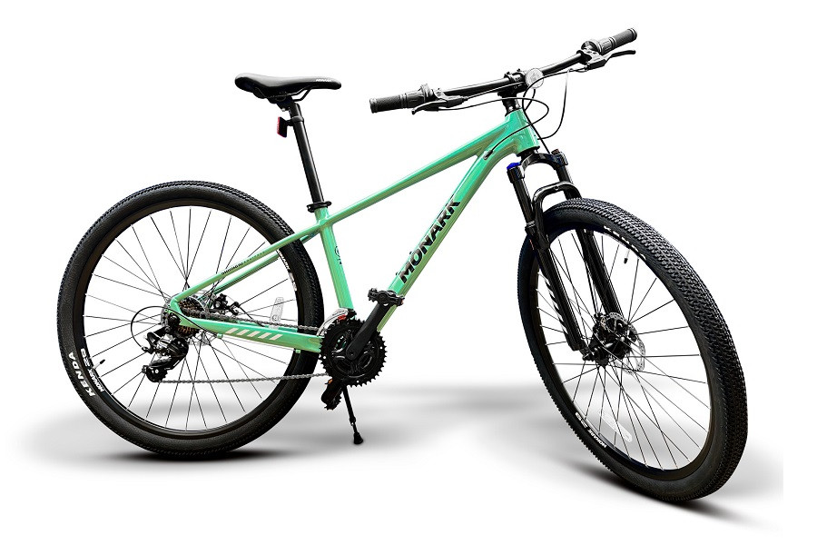 BICICLETA MONARK CANYON HTX ARO 29" (M) VERDE